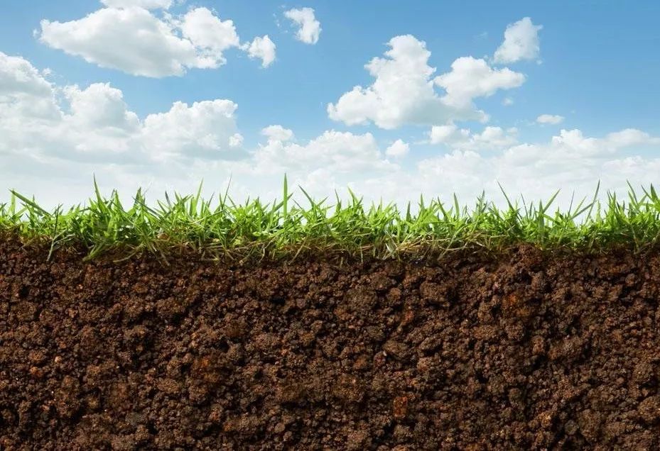 土壤出现这些问题，用再多肥料也别想增产，教你如何轻松解决土壤问题！