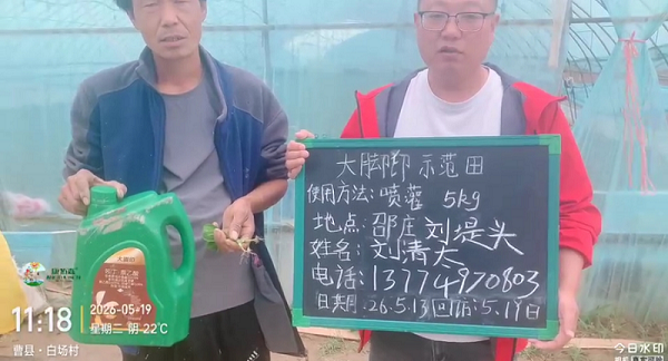 大脚印 ®——6 天爆根，白根旺、须根多，安全养根不早衰，让丰收更有底气！
