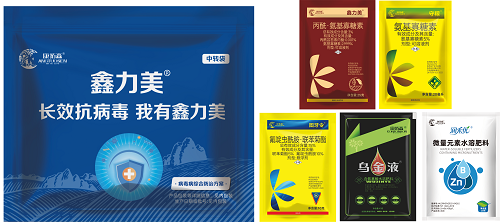 鑫力美 病毒病套餐