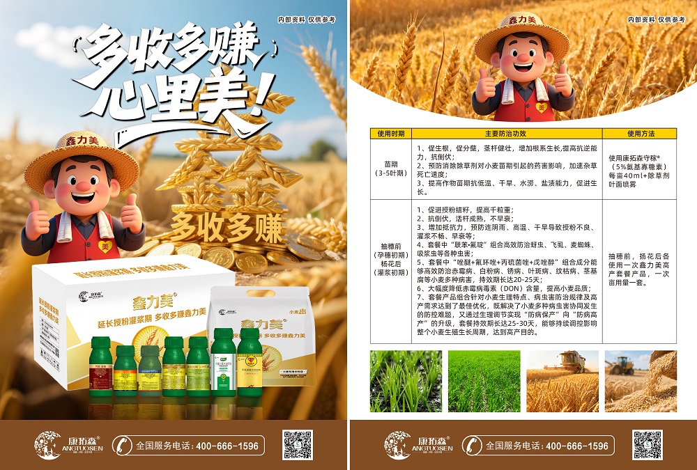 鑫力美 小麦套餐