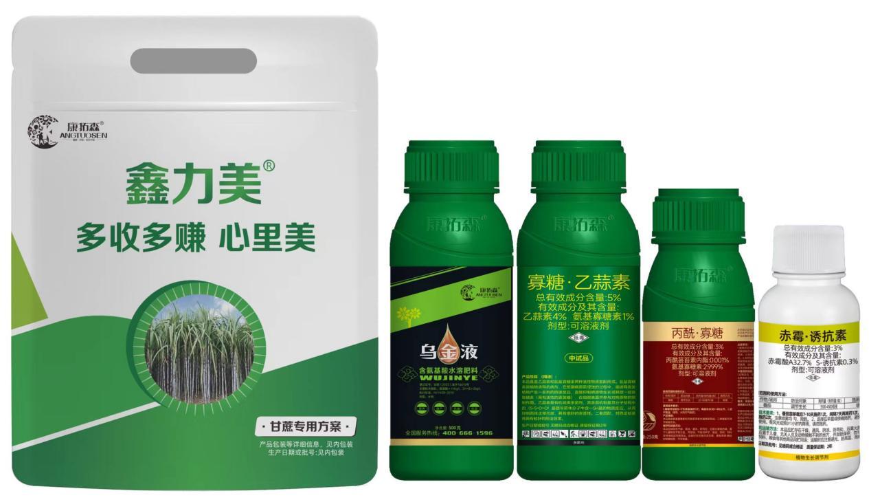鑫力美 甘蔗套餐